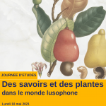 Des savoirs et des plantes dans le monde lusophone