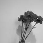 Journée d'étude Entre-deux ? Le poème en prose au Portugal et au Brésil